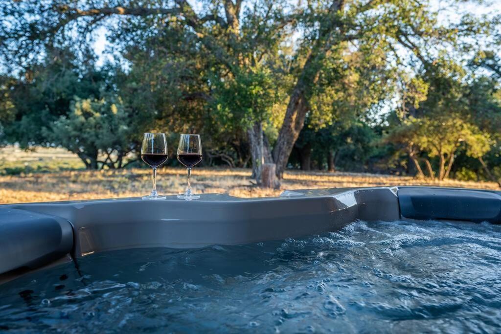 Country Cowboy Hot Tub Hideaway On 20 Acres Villa Borrego Springs Eksteriør billede